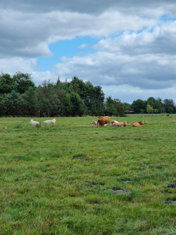 Haus Moor Merland Moormerland Exteriör bild